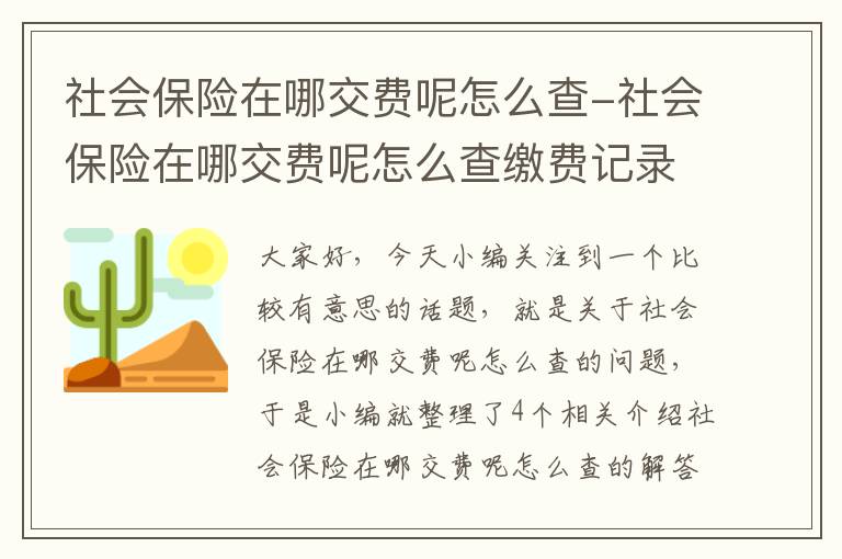 社会保险在哪交费呢怎么查-社会保险在哪交费呢怎么查缴费记录