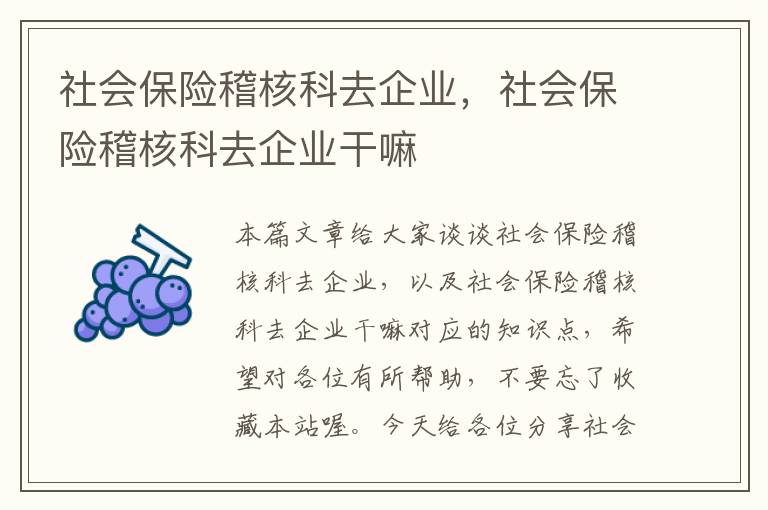 社会保险稽核科去企业，社会保险稽核科去企业干嘛