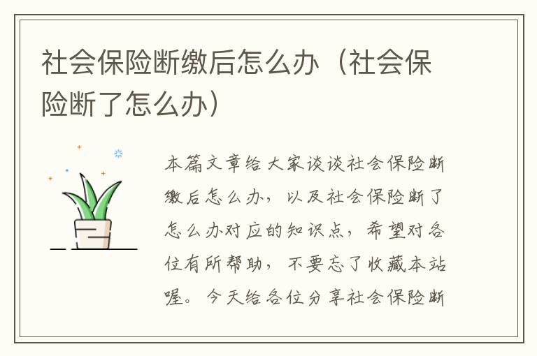 社会保险断缴后怎么办（社会保险断了怎么办）