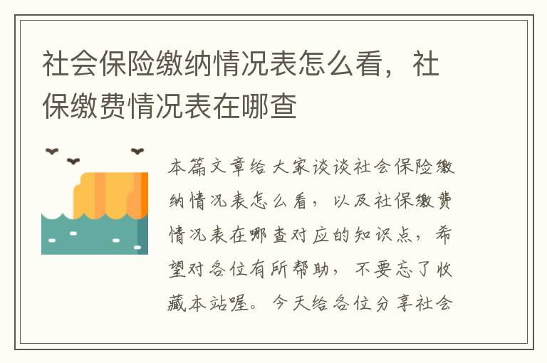 社会保险缴纳情况表怎么看，社保缴费情况表在哪查