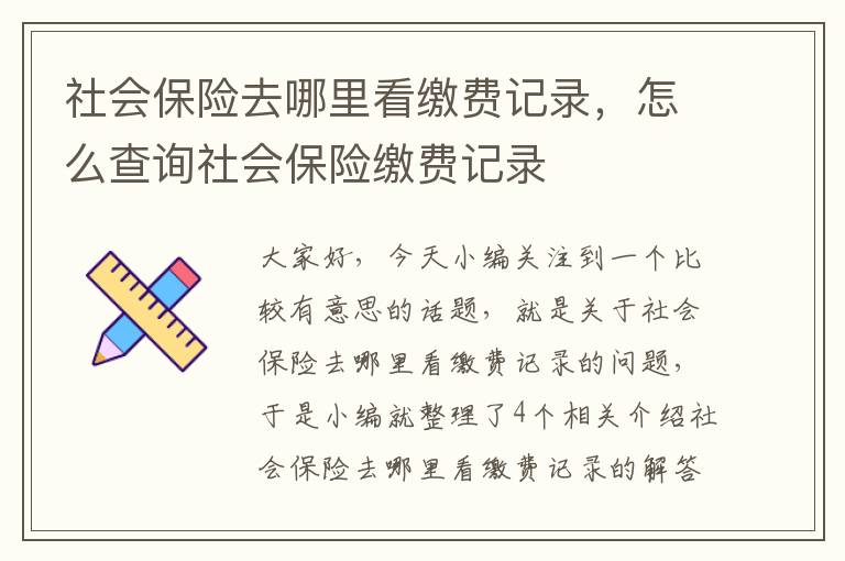 社会保险去哪里看缴费记录，怎么查询社会保险缴费记录