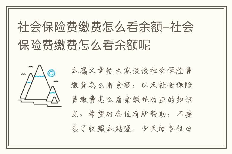 社会保险费缴费怎么看余额-社会保险费缴费怎么看余额呢