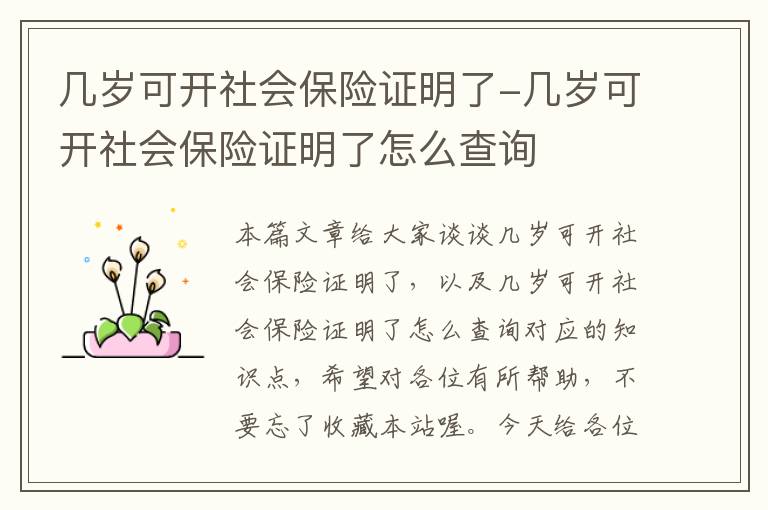 几岁可开社会保险证明了-几岁可开社会保险证明了怎么查询