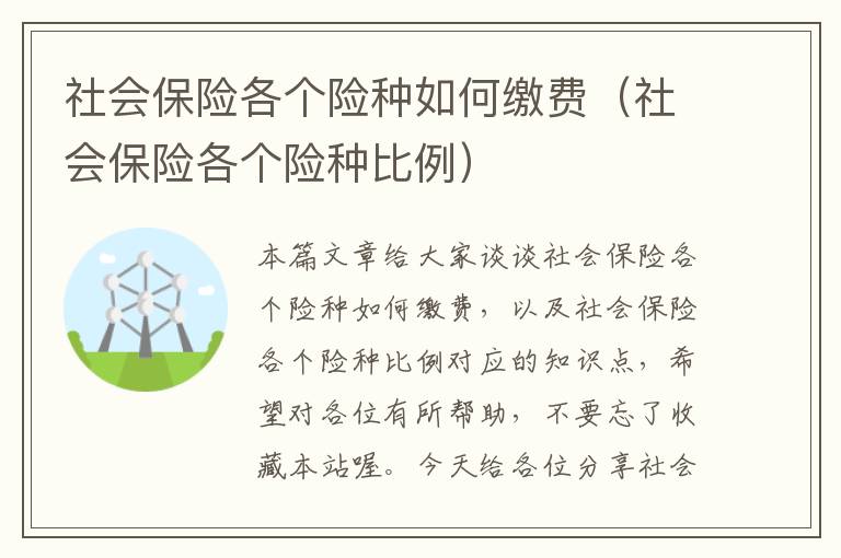 社会保险各个险种如何缴费（社会保险各个险种比例）