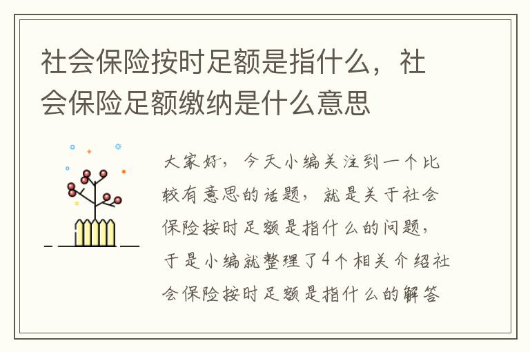 社会保险按时足额是指什么，社会保险足额缴纳是什么意思