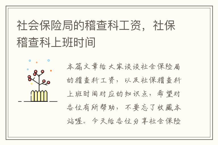 社会保险局的稽查科工资，社保稽查科上班时间