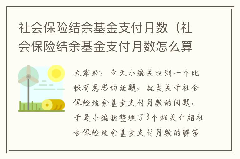 社会保险结余基金支付月数（社会保险结余基金支付月数怎么算）