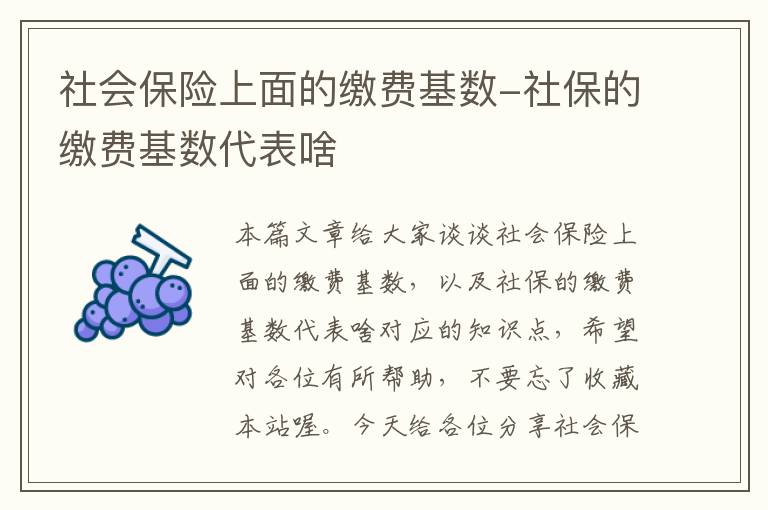 社会保险上面的缴费基数-社保的缴费基数代表啥