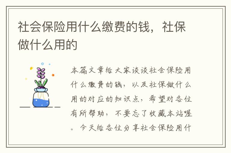 社会保险用什么缴费的钱，社保做什么用的