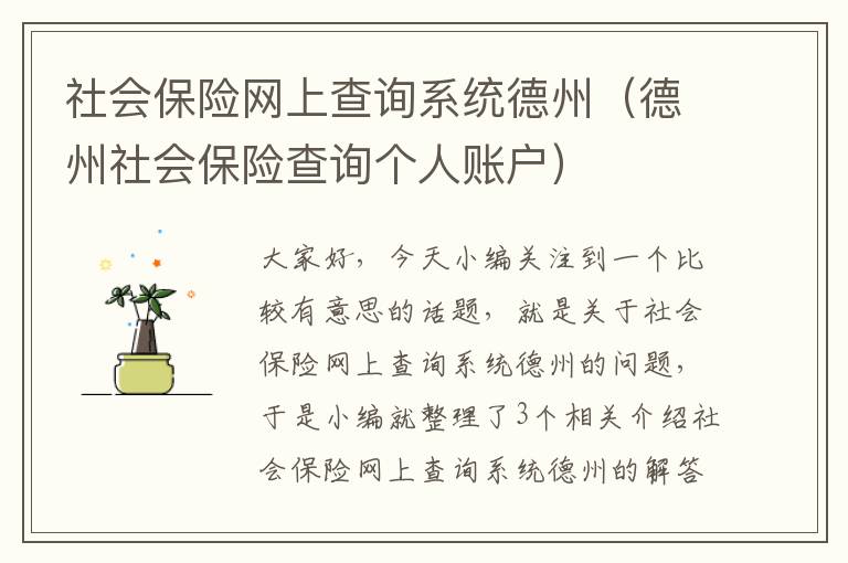 社会保险网上查询系统德州（德州社会保险查询个人账户）