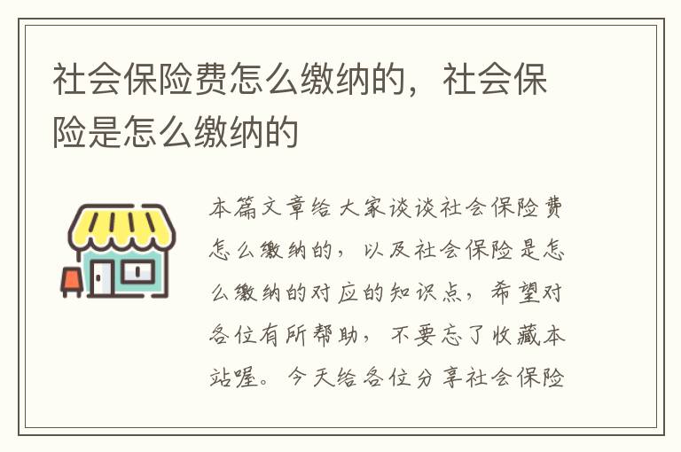 社会保险费怎么缴纳的，社会保险是怎么缴纳的