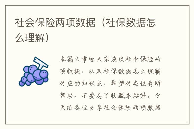 社会保险两项数据（社保数据怎么理解）