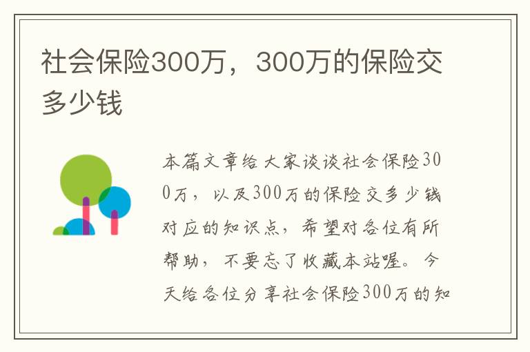 社会保险300万，300万的保险交多少钱