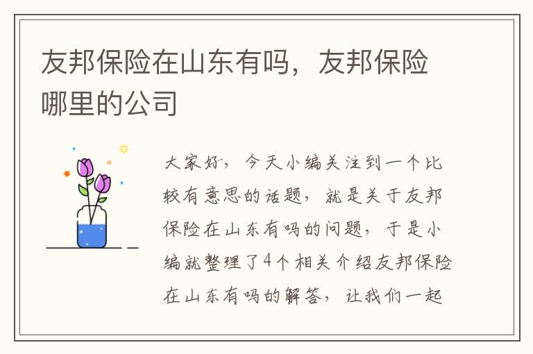 友邦保险在山东有吗，友邦保险哪里的公司