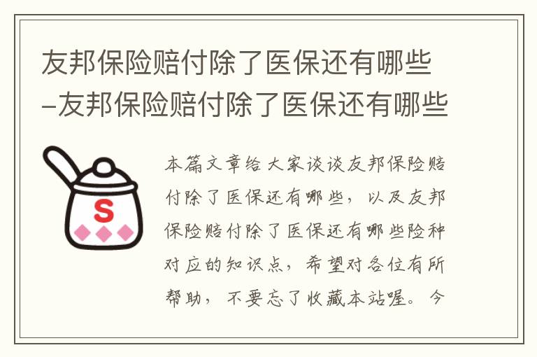 友邦保险赔付除了医保还有哪些-友邦保险赔付除了医保还有哪些险种