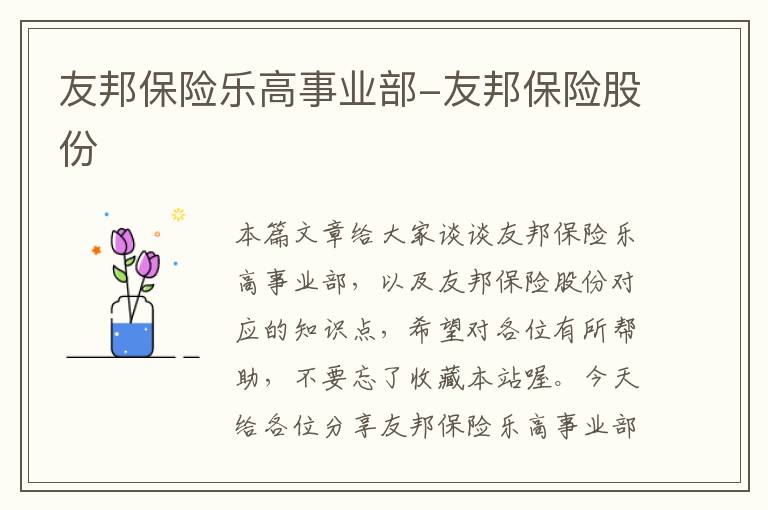 友邦保险乐高事业部-友邦保险股份