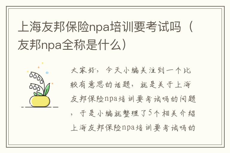 上海友邦保险npa培训要考试吗（友邦npa全称是什么）