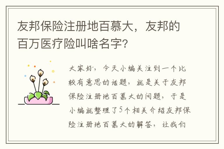 友邦保险注册地百慕大，友邦的百万医疗险叫啥名字?