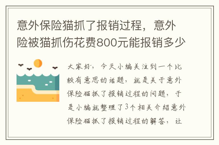 意外保险猫抓了报销过程，意外险被猫抓伤花费800元能报销多少