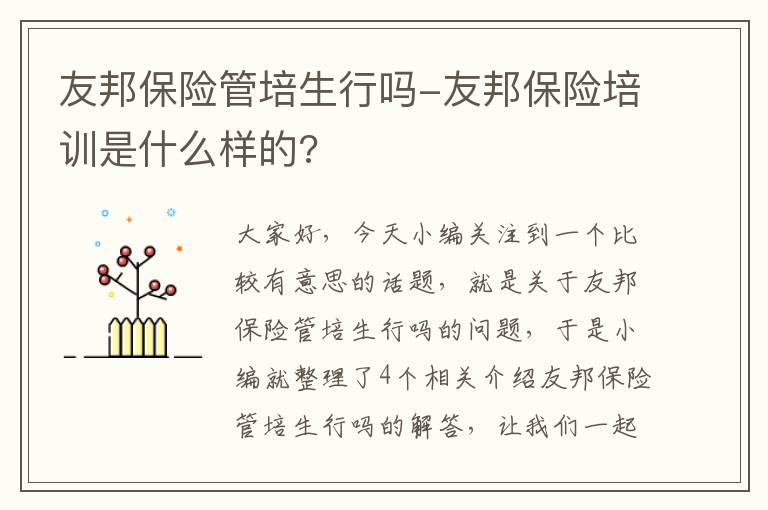 友邦保险管培生行吗-友邦保险培训是什么样的?