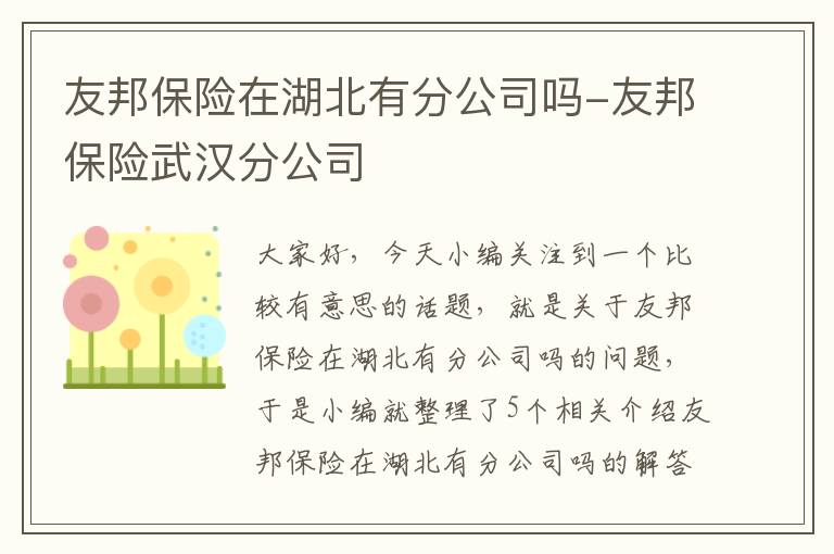 友邦保险在湖北有分公司吗-友邦保险武汉分公司