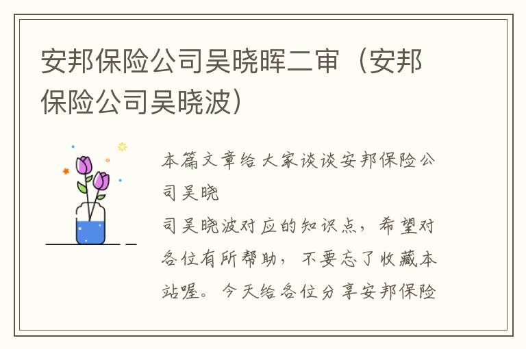 安邦保险公司吴晓晖二审（安邦保险公司吴晓波）