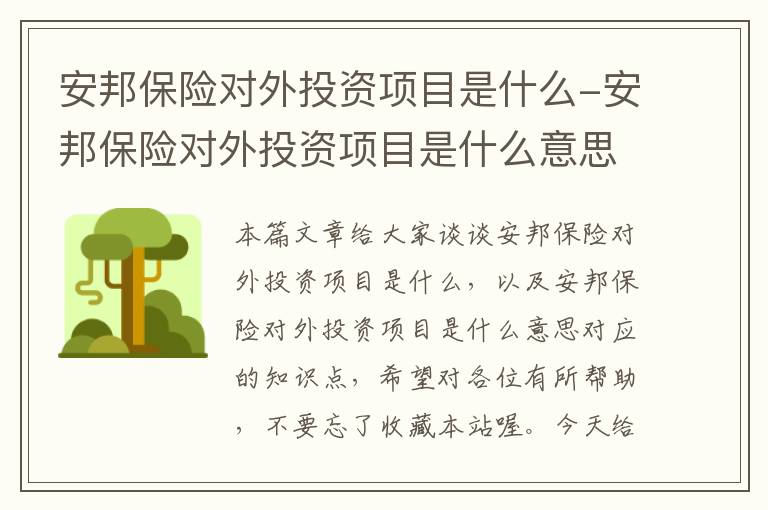 安邦保险对外投资项目是什么-安邦保险对外投资项目是什么意思