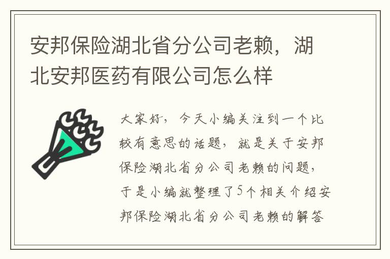 安邦保险湖北省分公司老赖，湖北安邦医药有限公司怎么样