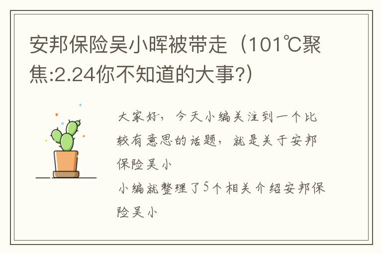 安邦保险吴小晖被带走（101℃聚焦:2.24你不知道的大事?）