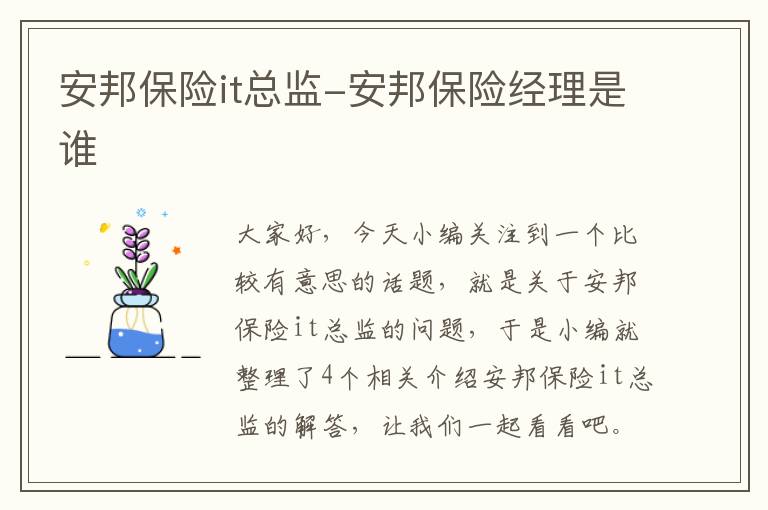 安邦保险it总监-安邦保险经理是谁