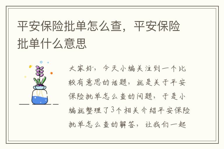 平安保险批单怎么查，平安保险批单什么意思