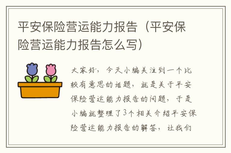 平安保险营运能力报告（平安保险营运能力报告怎么写）