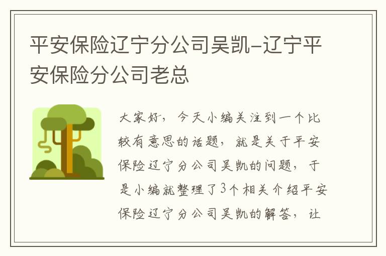 平安保险辽宁分公司吴凯-辽宁平安保险分公司老总