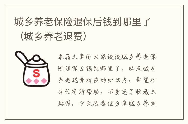 城乡养老保险退保后钱到哪里了（城乡养老退费）