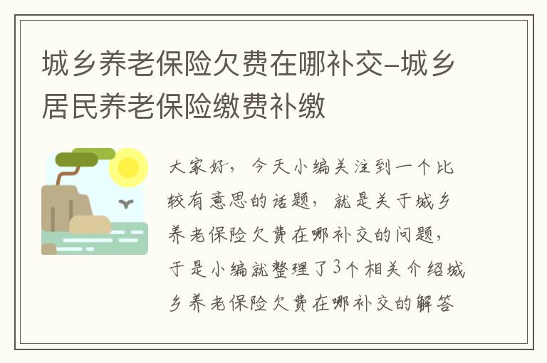 城乡养老保险欠费在哪补交-城乡居民养老保险缴费补缴