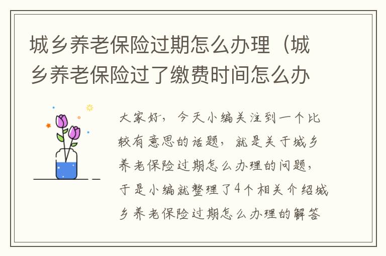 城乡养老保险过期怎么办理（城乡养老保险过了缴费时间怎么办）