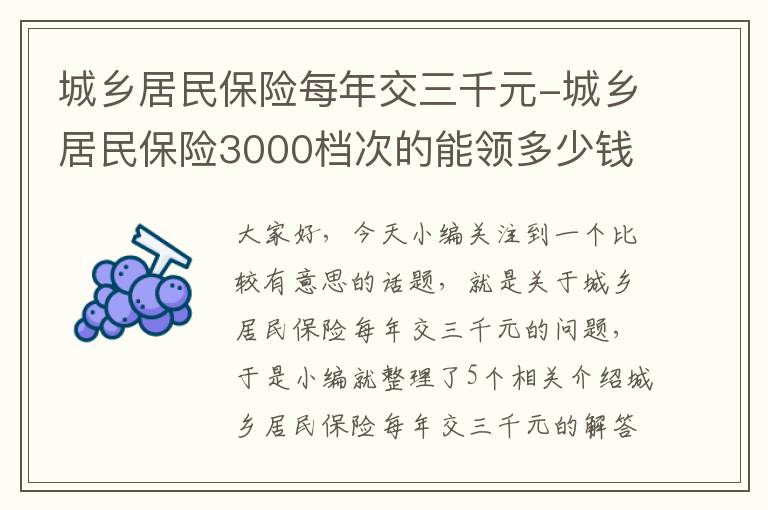 城乡居民保险每年交三千元-城乡居民保险3000档次的能领多少钱