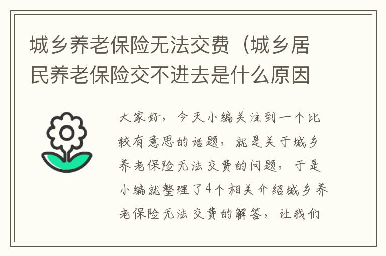 城乡养老保险无法交费（城乡居民养老保险交不进去是什么原因）