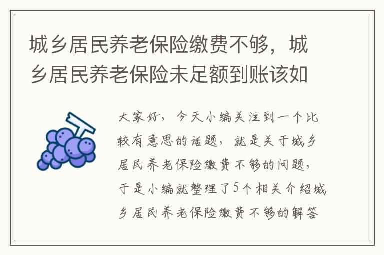 城乡居民养老保险缴费不够，城乡居民养老保险未足额到账该如何缴费