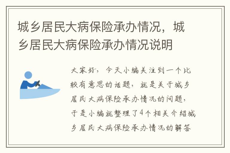 城乡居民大病保险承办情况，城乡居民大病保险承办情况说明