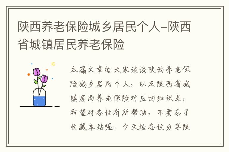 陕西养老保险城乡居民个人-陕西省城镇居民养老保险