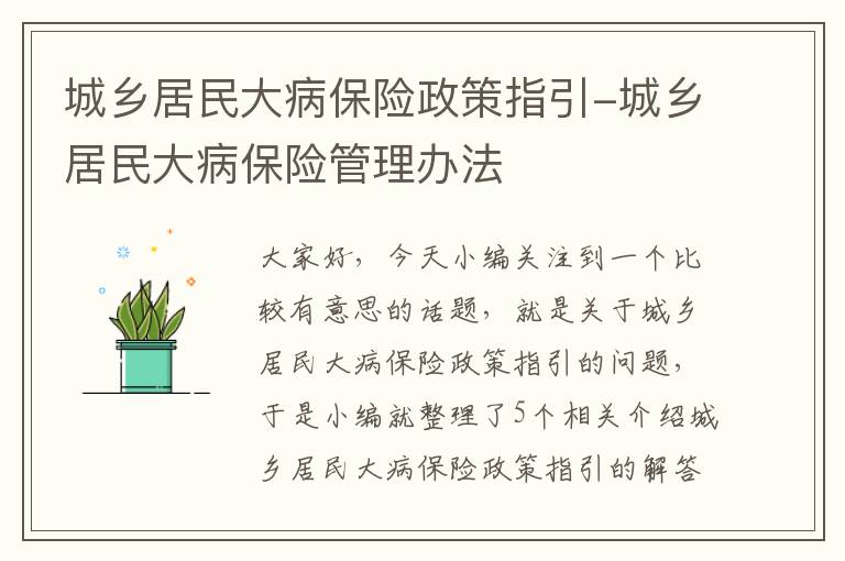 城乡居民大病保险政策指引-城乡居民大病保险管理办法