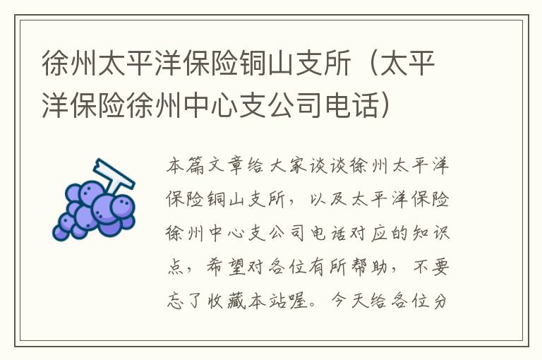 徐州太平洋保险铜山支所（太平洋保险徐州中心支公司电话）