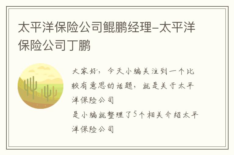 太平洋保险公司鲲鹏经理-太平洋保险公司丁鹏