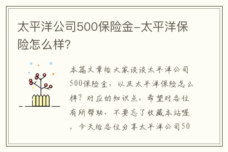 太平洋公司500保险金-太平洋保险怎么样？