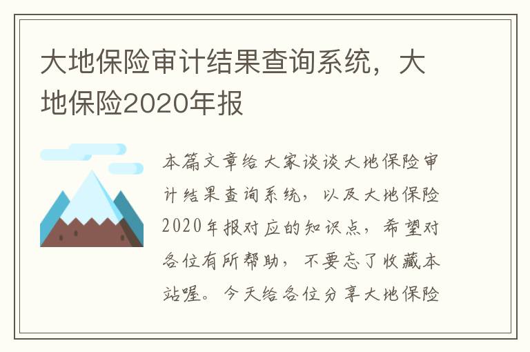 大地保险审计结果查询系统，大地保险2020年报