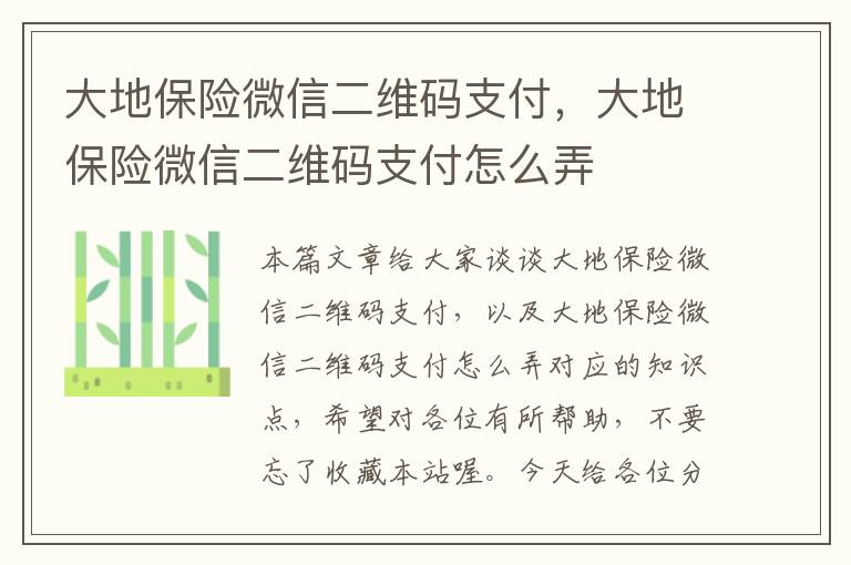 大地保险微信二维码支付，大地保险微信二维码支付怎么弄