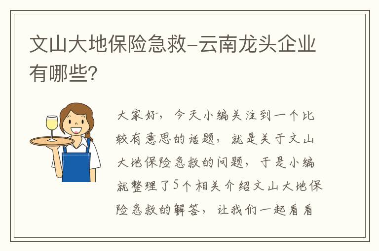 文山大地保险急救-云南龙头企业有哪些？