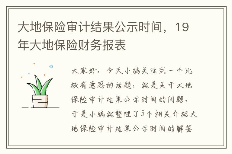 大地保险审计结果公示时间，19年大地保险财务报表