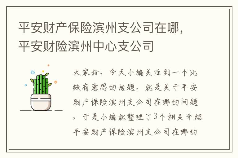 平安财产保险滨州支公司在哪，平安财险滨州中心支公司